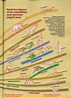 Dinosaures et famille, Science & Vie 0951, 1996-12 (09)